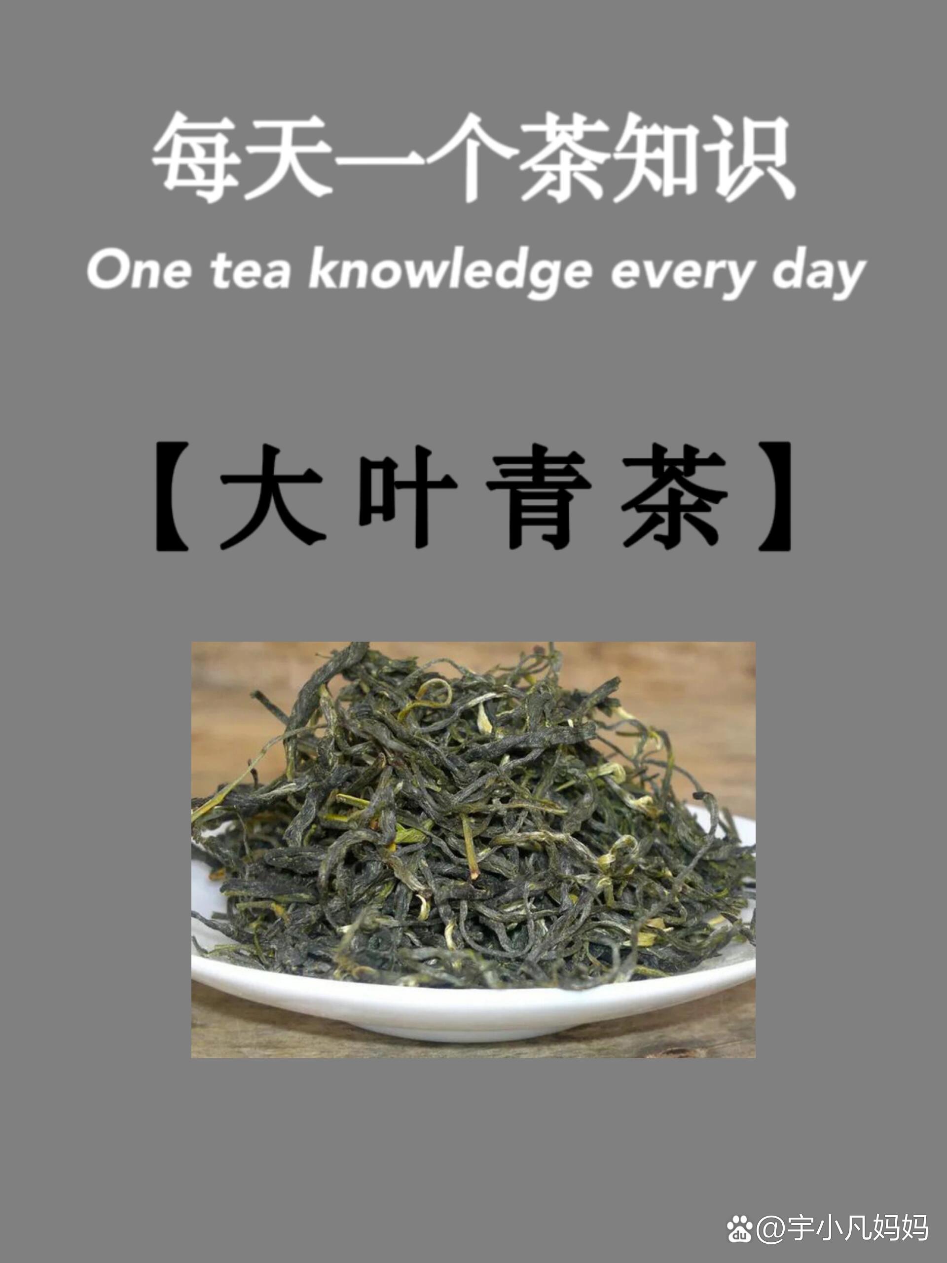 青茶的功效与作用图片