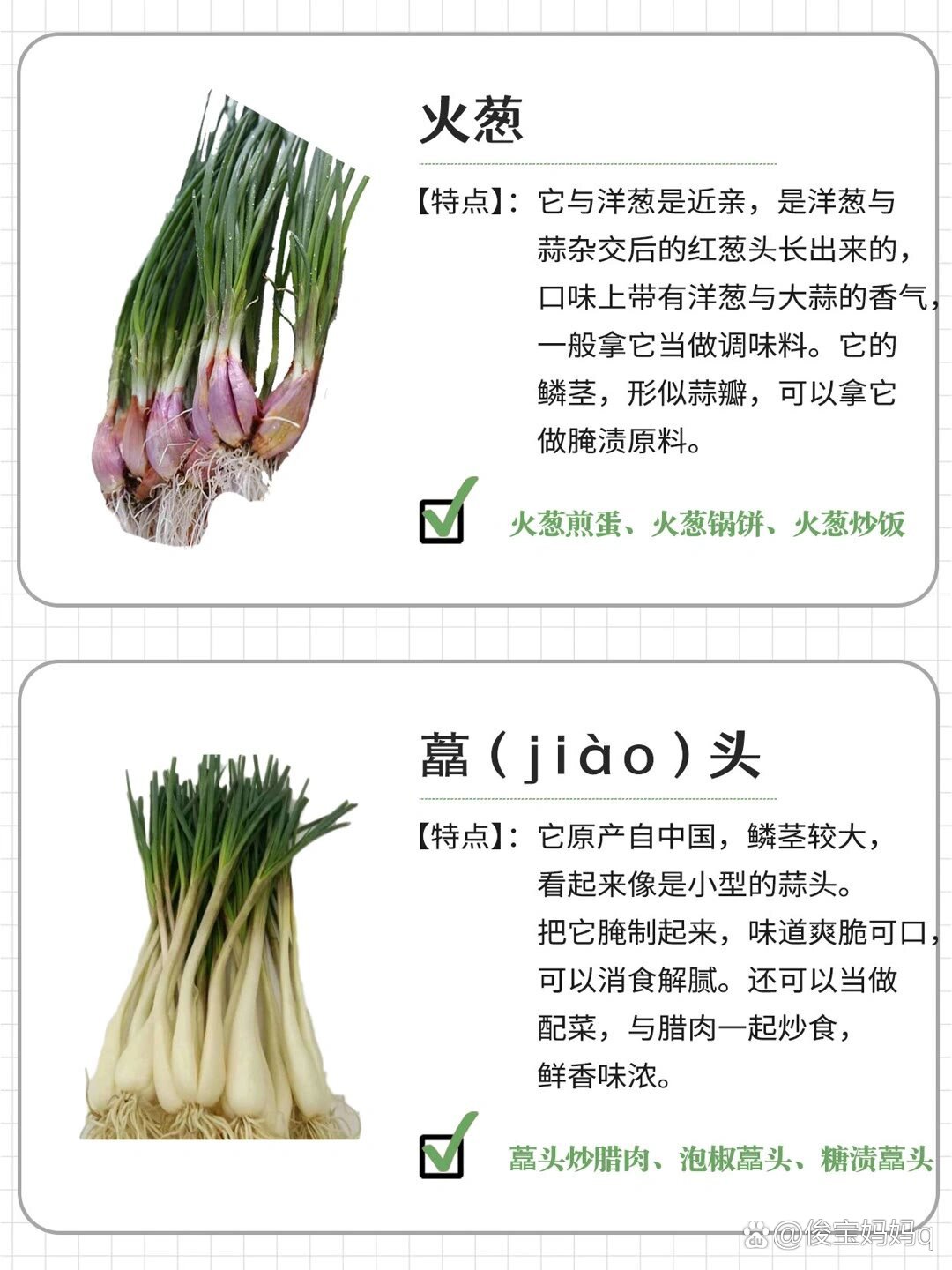 原来葱也有这么多种类!