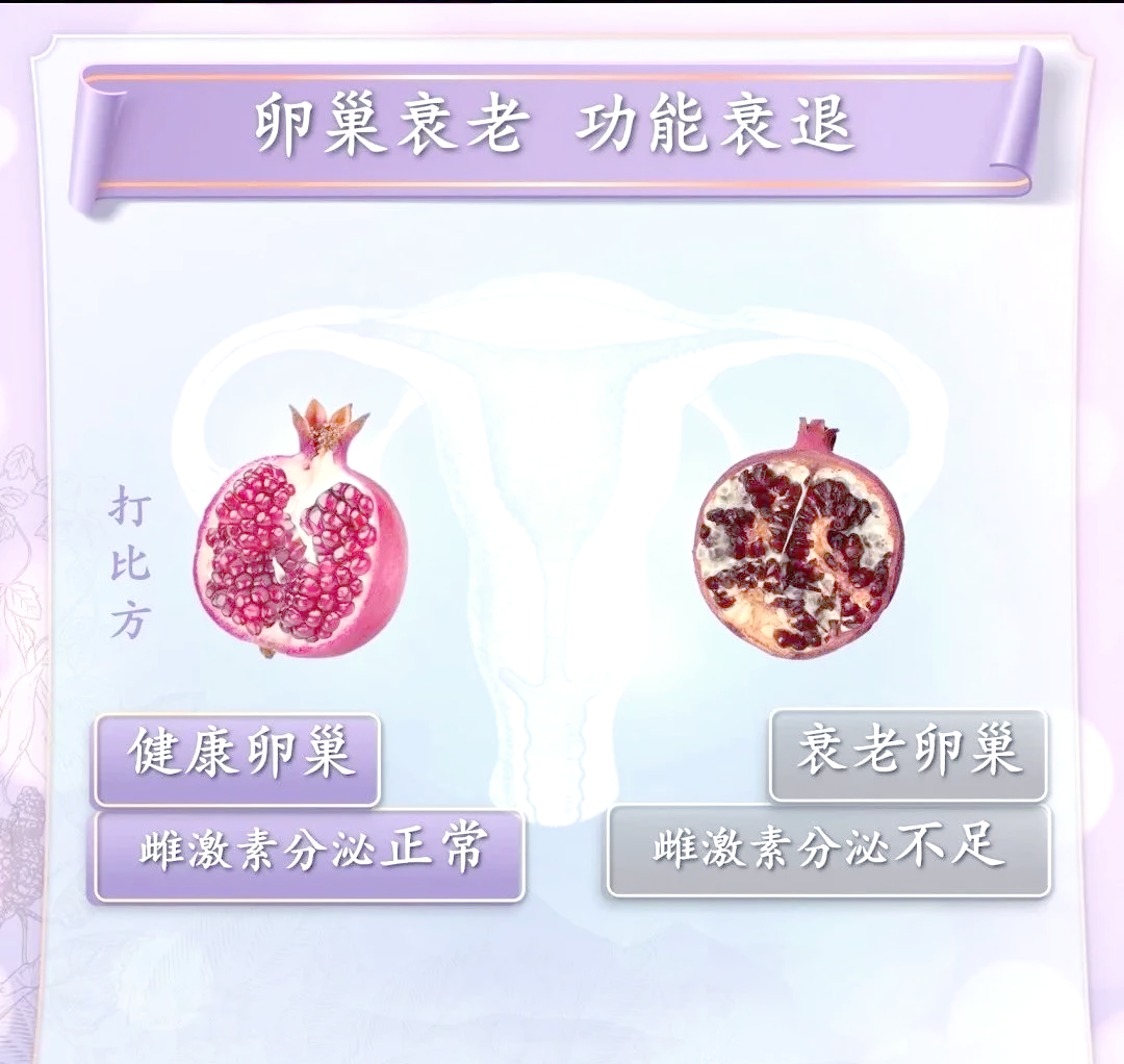 女性衰老的中医解释：从七七到天癸竭