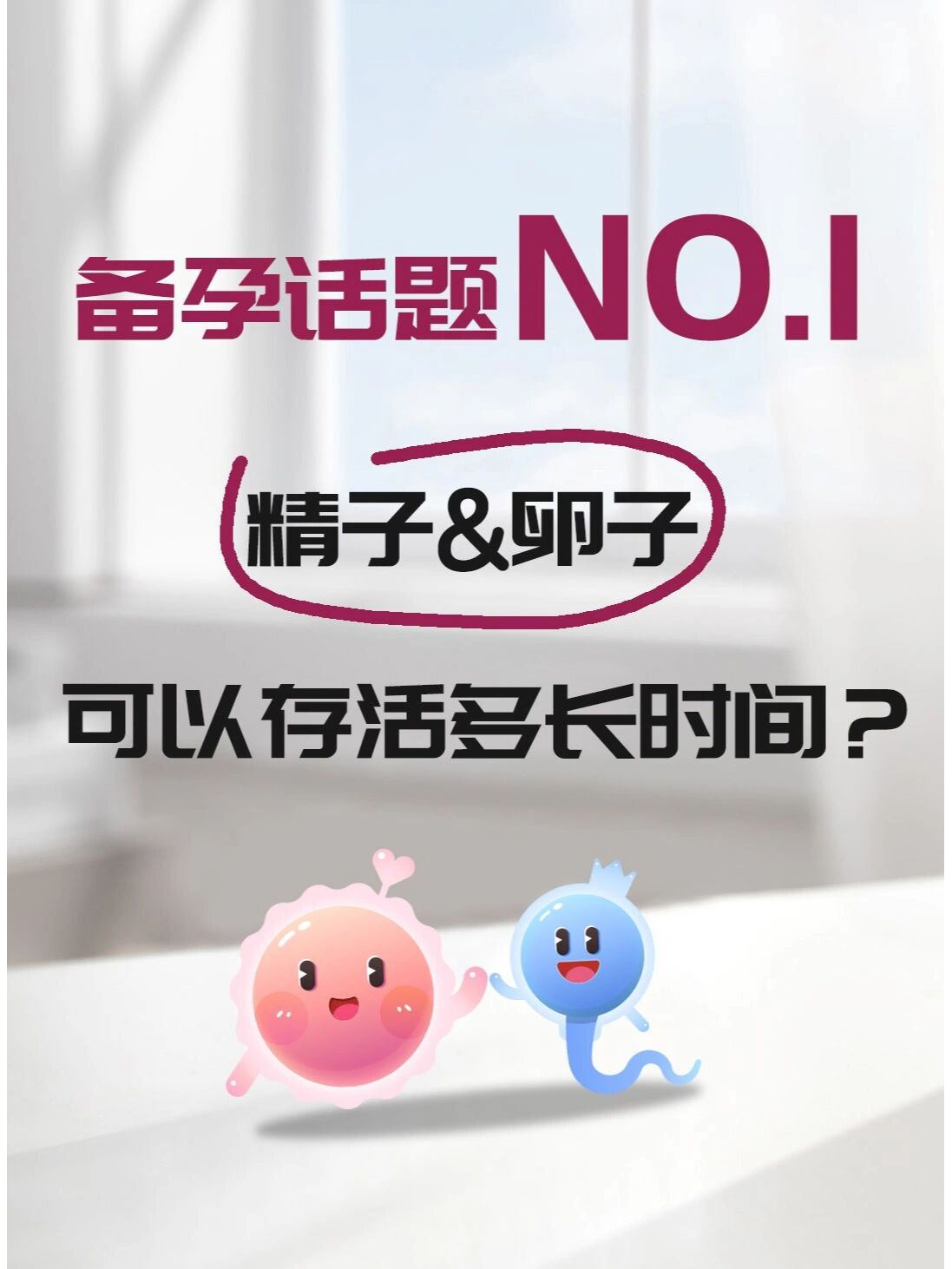精子&卵子可以存活多长时间?