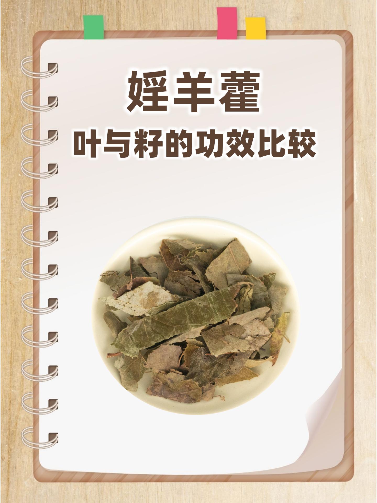 婬羊藿:叶与籽的功效比较