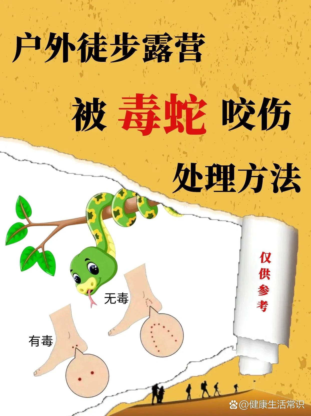 户外徒步露营毒蛇咬伤后的处理方法