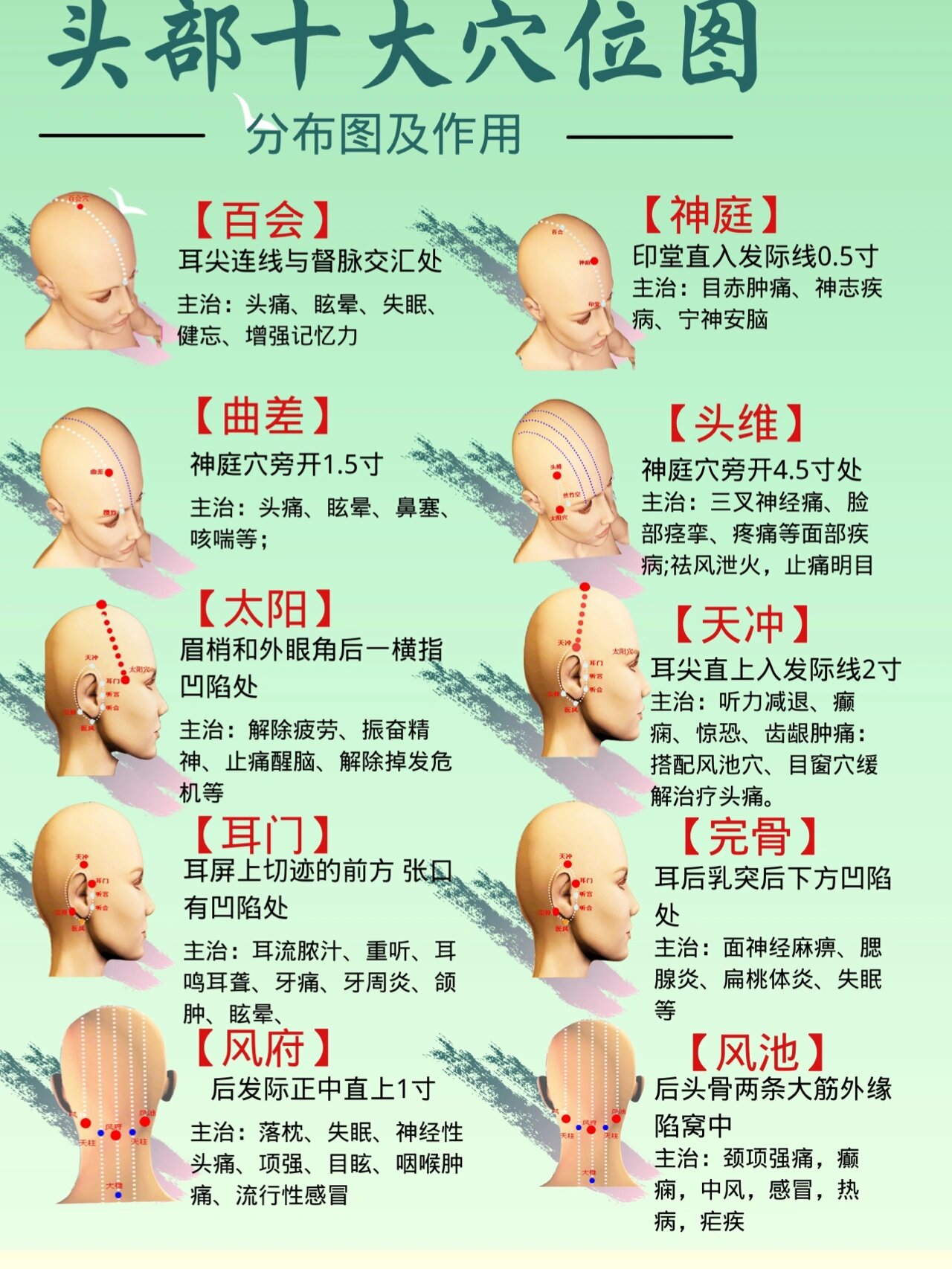 头部反射图解大全解说图片