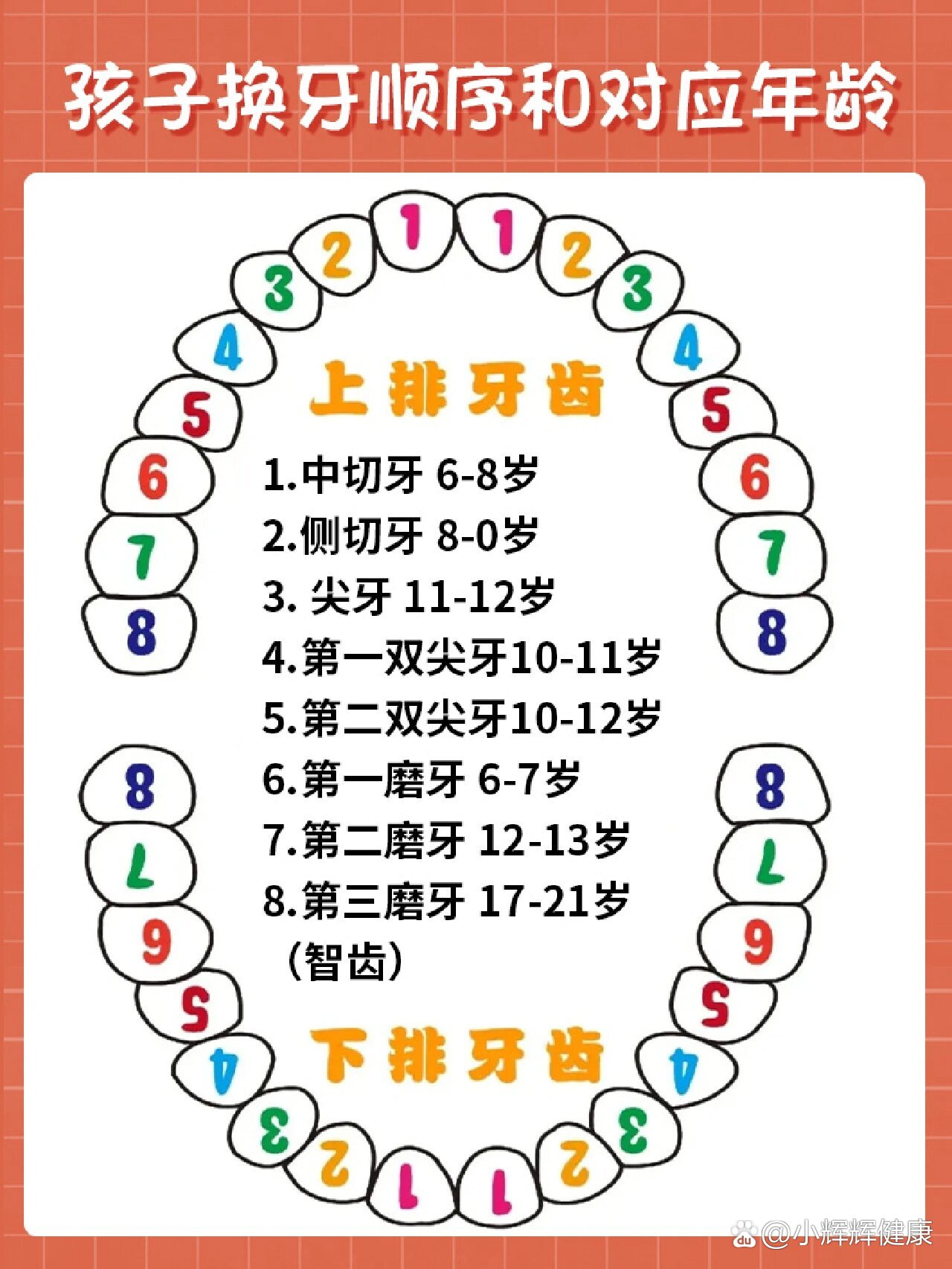 儿童换牙顺序图 正常图片