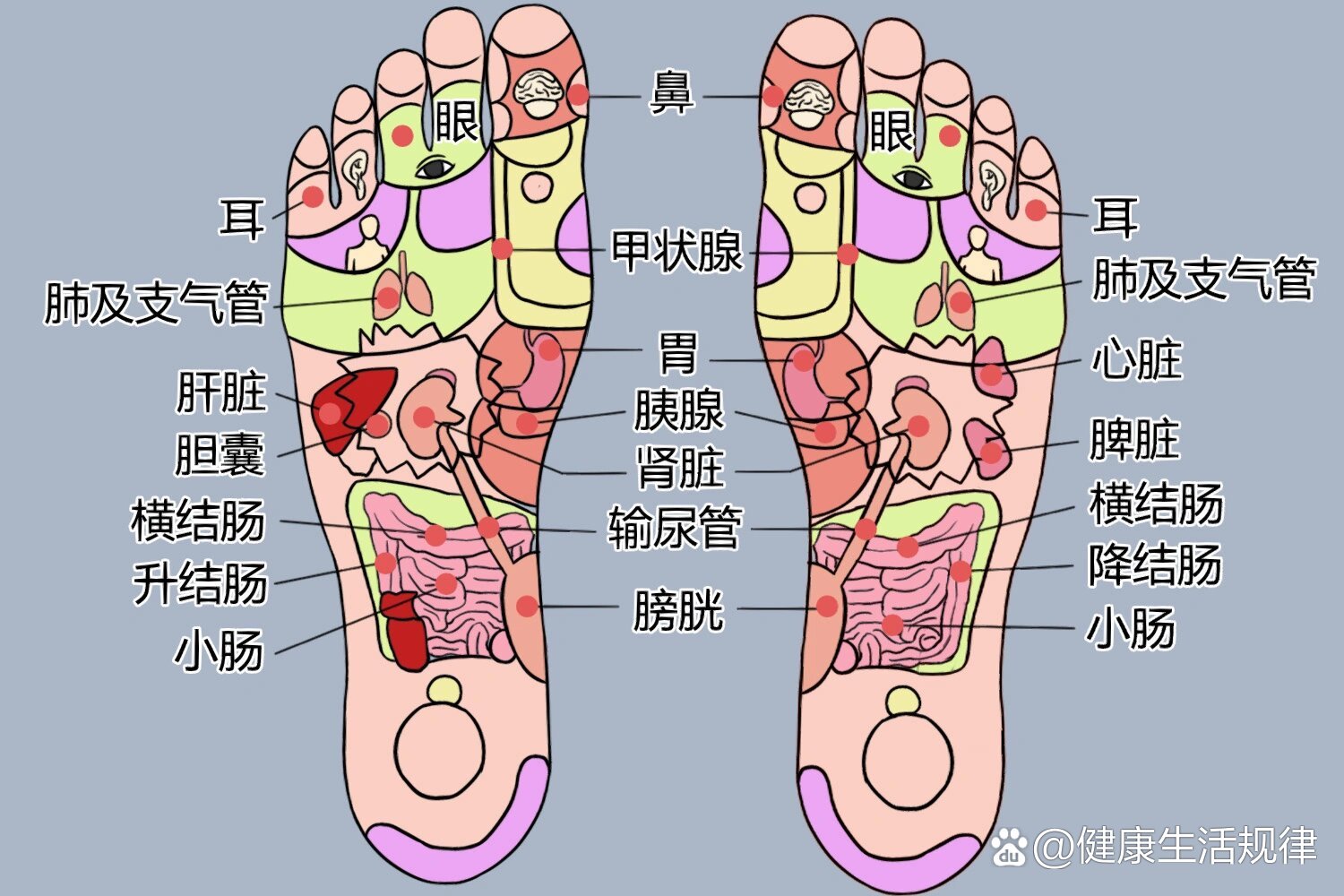 按足疗脚疼是真的有病吗⁉️