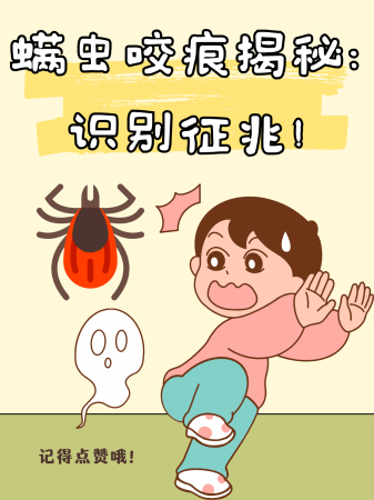 螨虫咬痕揭秘：识别征兆！