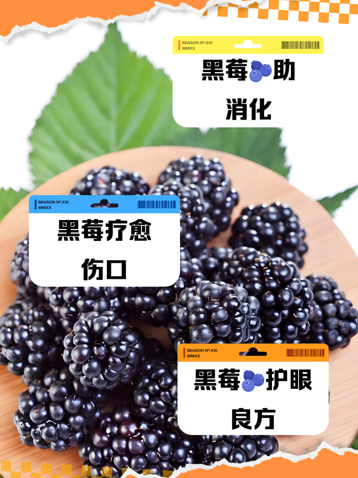 黑梅功效和作用