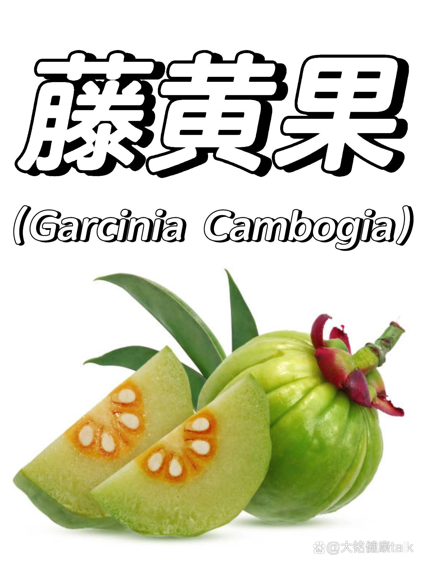 每天认识一种水果|减重圣果"藤黄果"