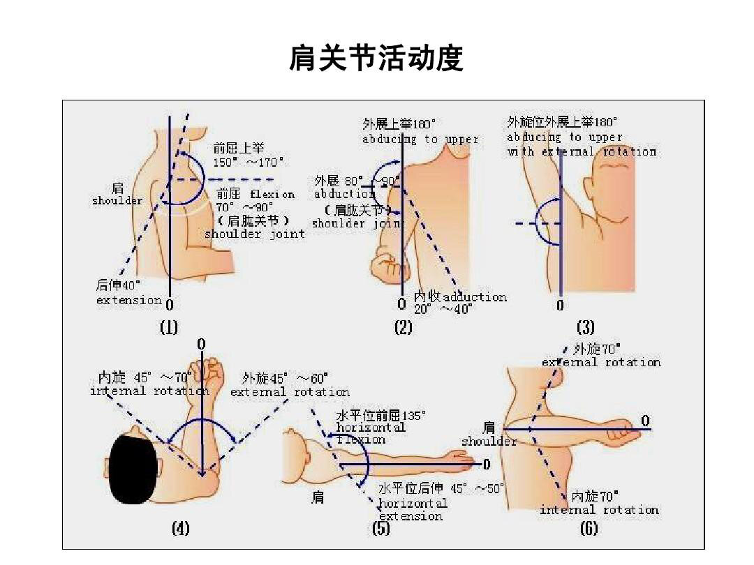 髋关节内收外展图解图片