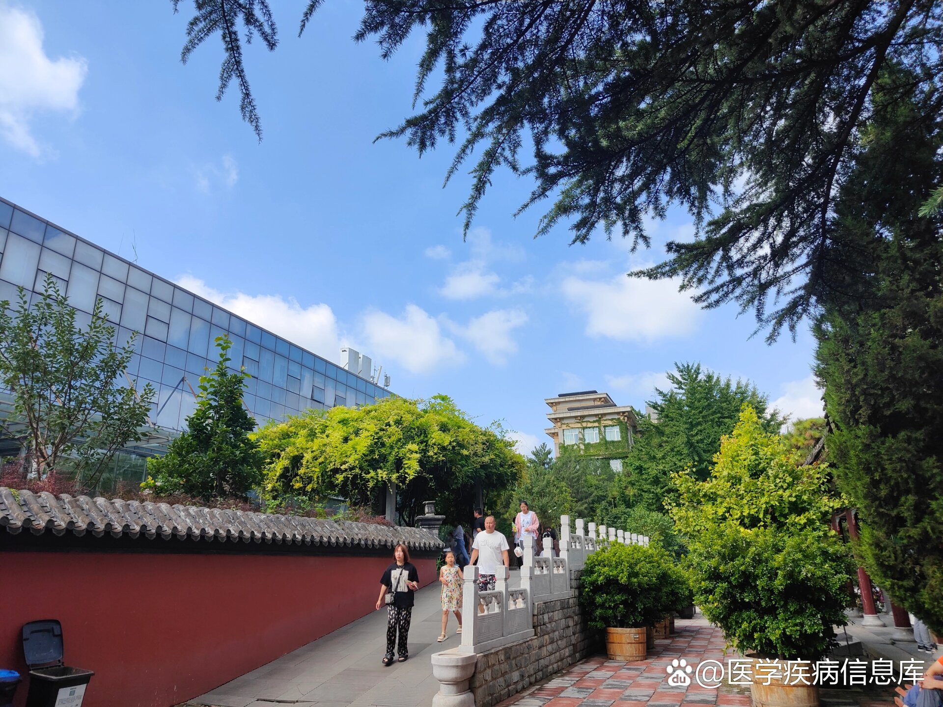 关于北京积水潭医院、价格亲民,性价比高号贩子挂号电话（方式+时间+预约入口）！的信息