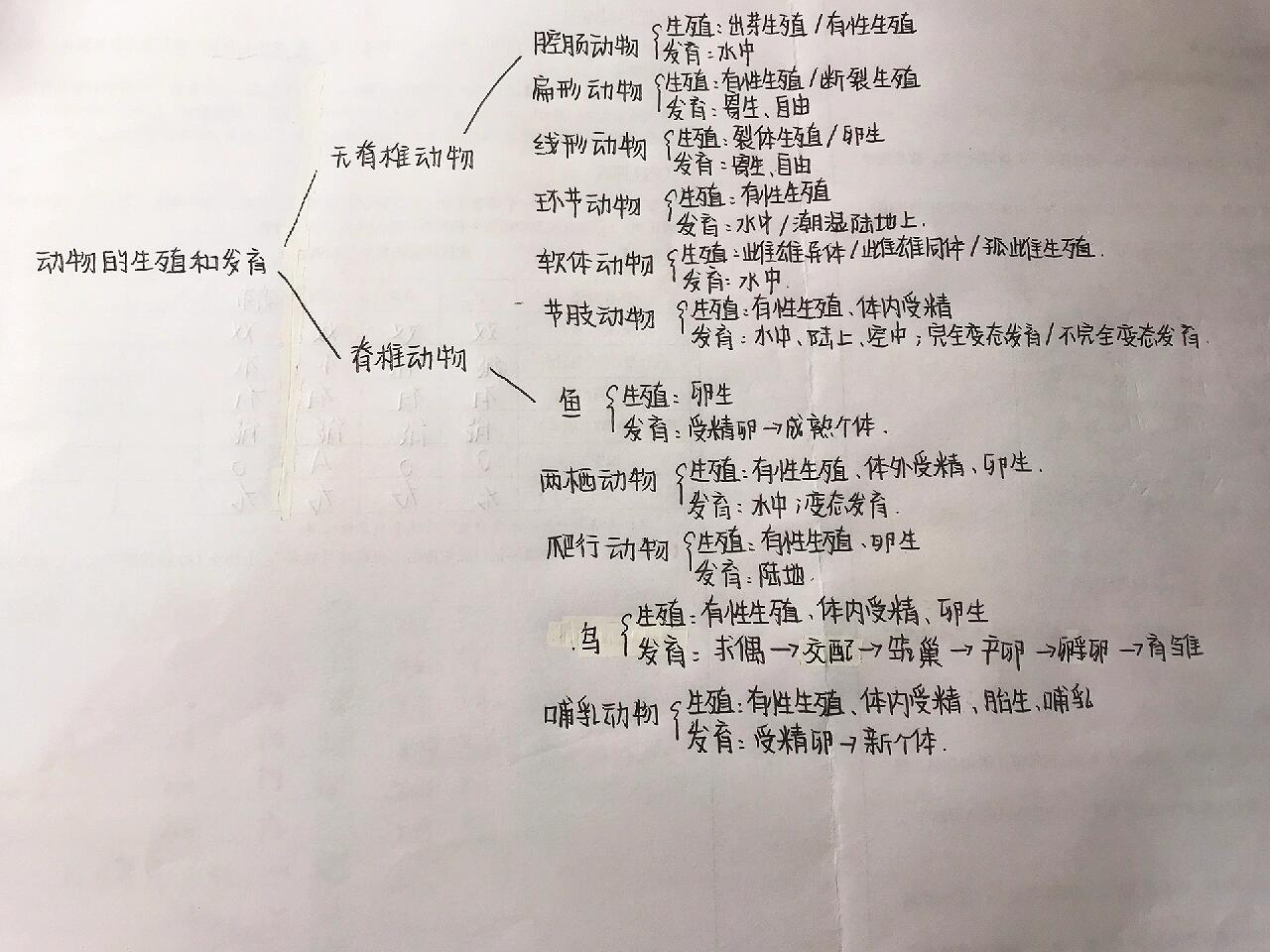 动物的生殖和发育思维导图