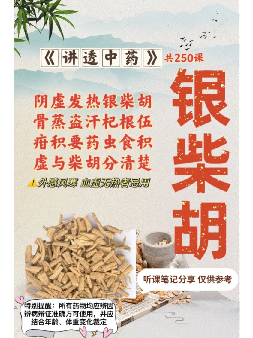 《讲透中药》第54课:银柴胡