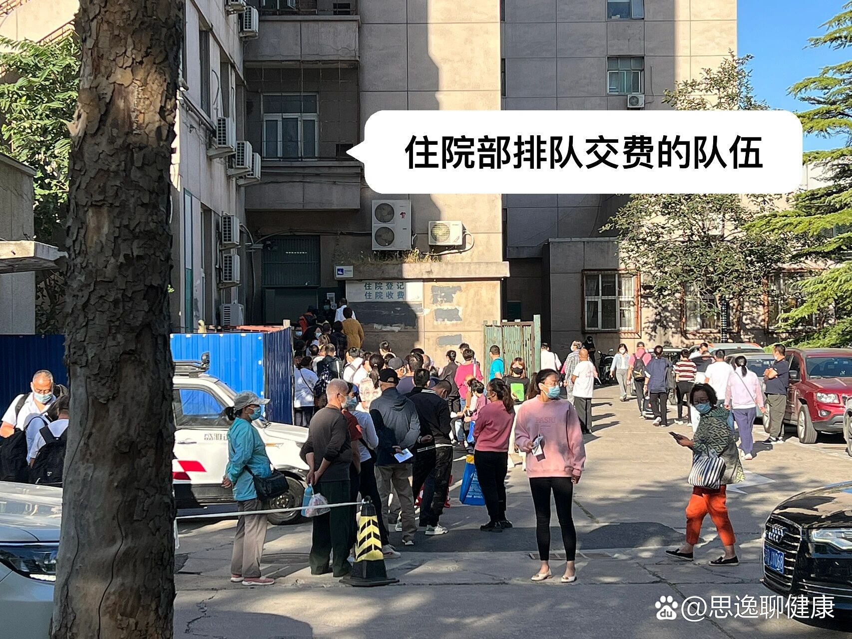 北京肿瘤医院、医院陪诊，健康咨询黄牛专家预约挂号的简单介绍