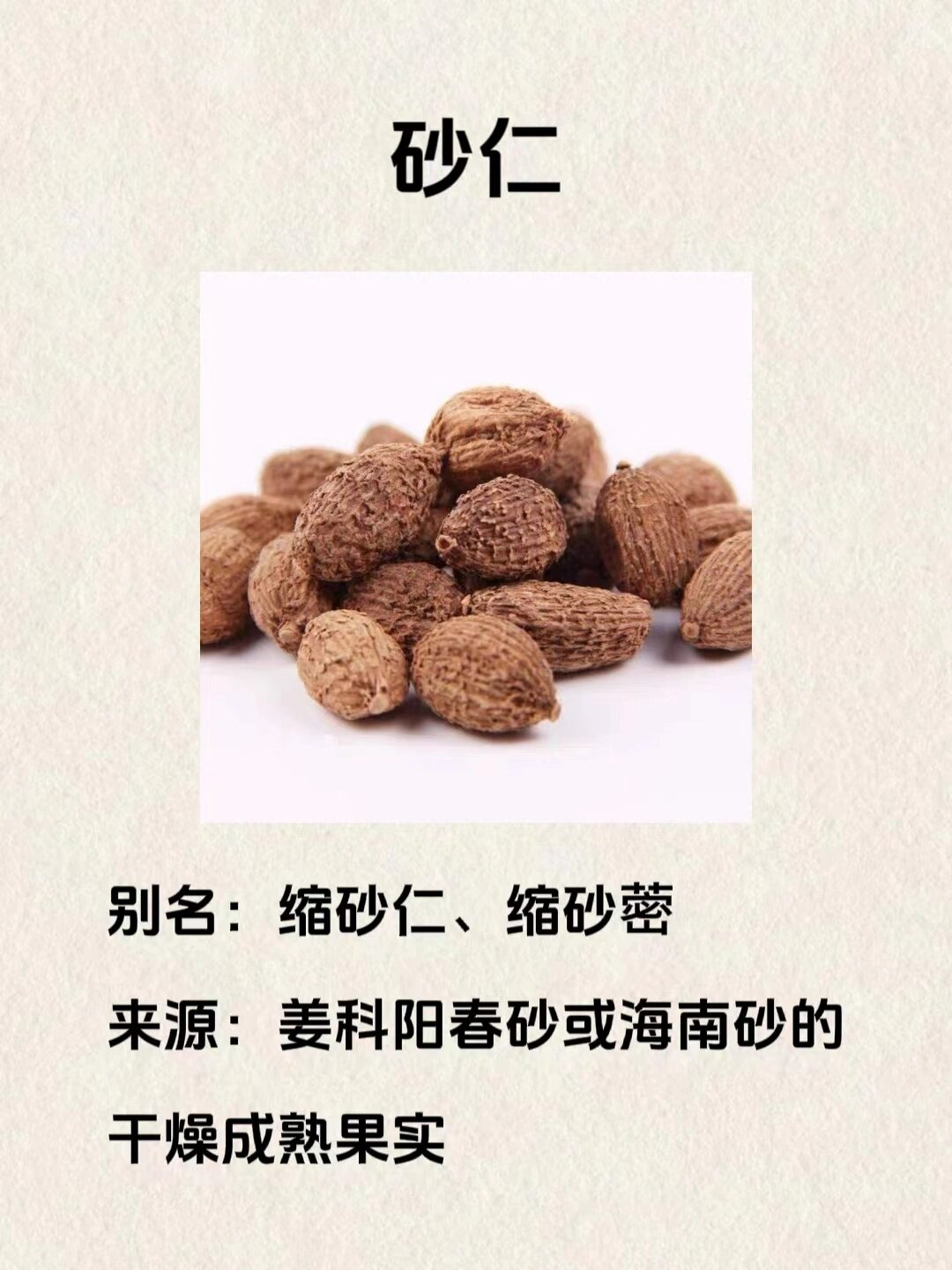 每天懂一味中药材:砂仁