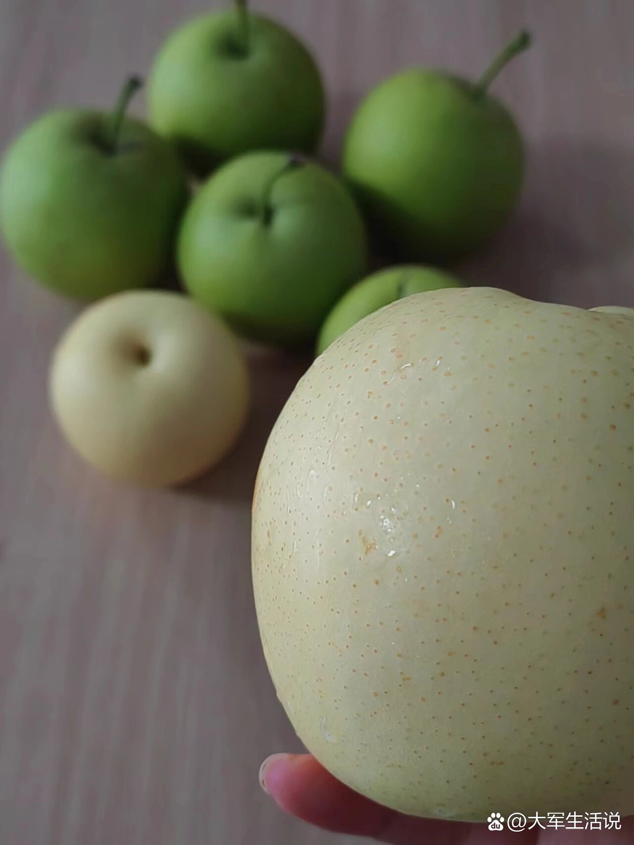 皇冠梨也就是梨子的一种,价值很高,是优质的梨子.