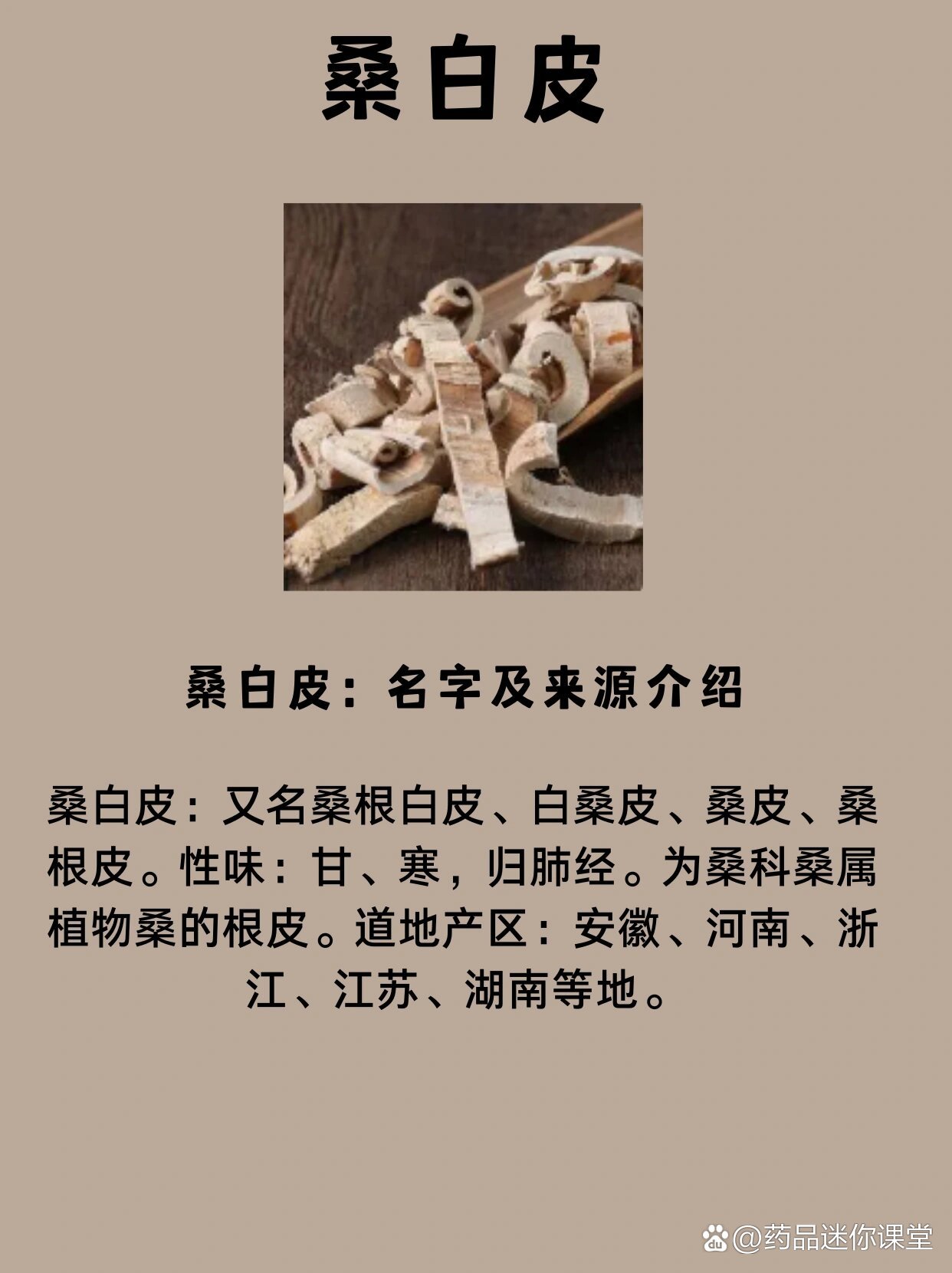 李根白皮别名 桑白皮图片