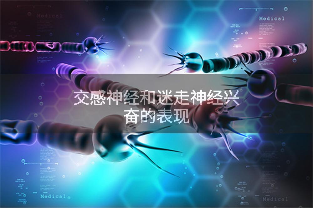 交感神经和迷走神经兴奋的表现