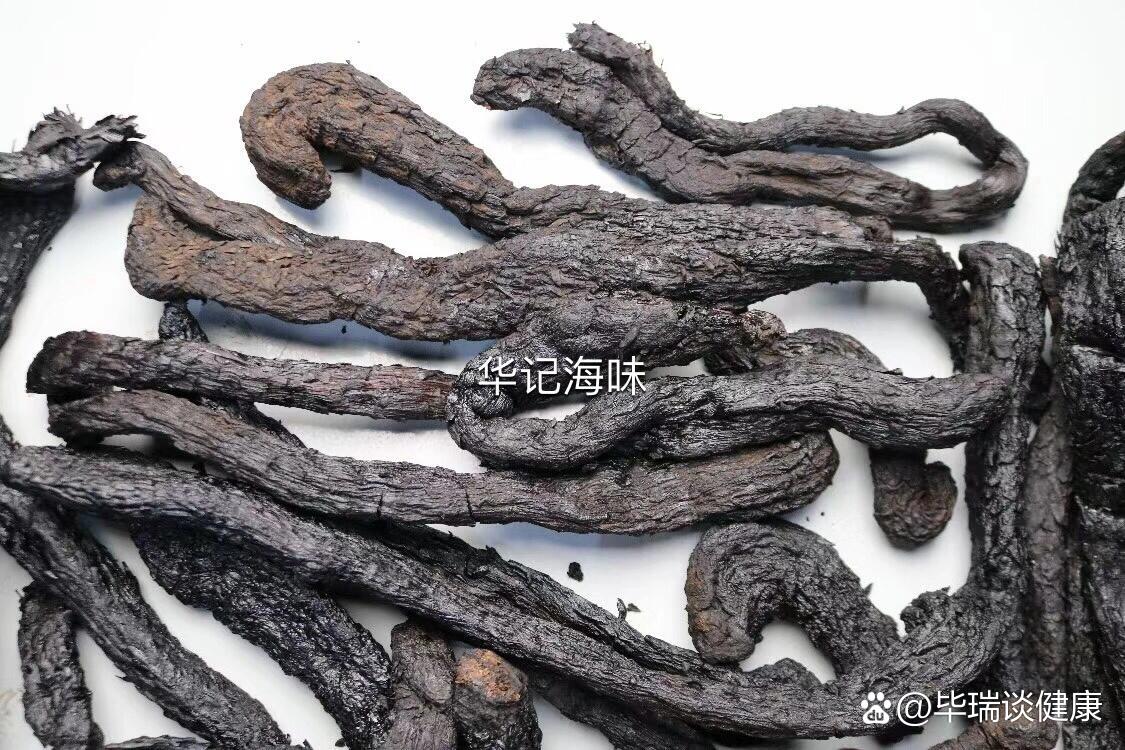 肉苁蓉图片 识别图片