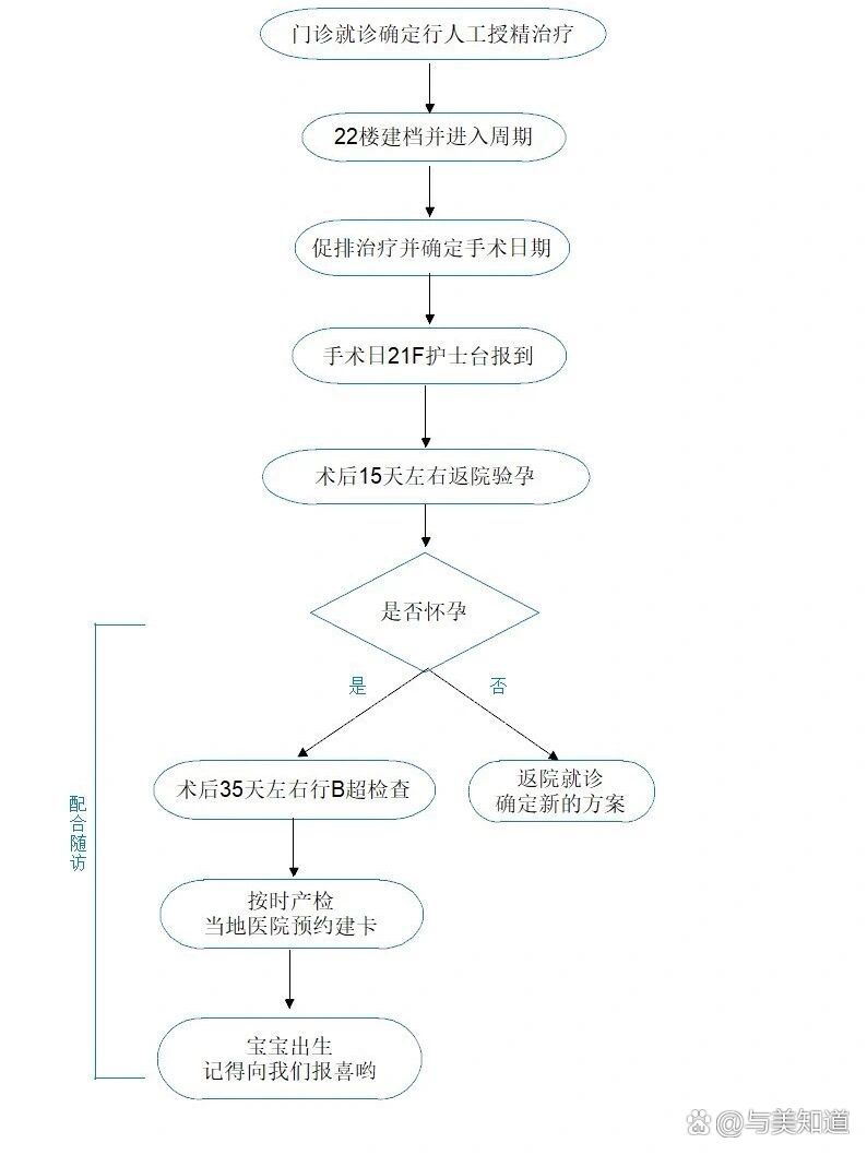 在家做人工授精怀孕了图片