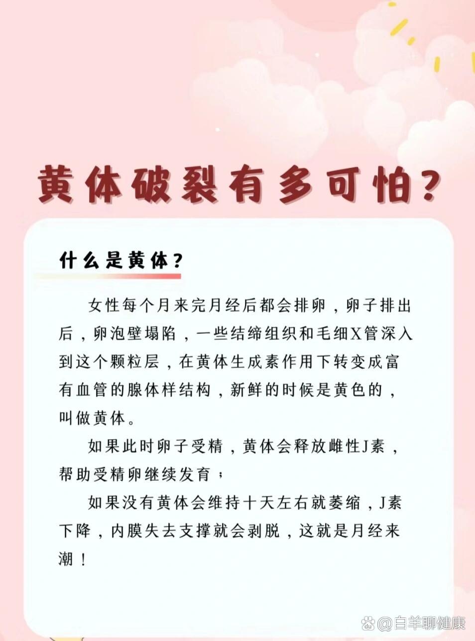 黄体为什么会破裂图片