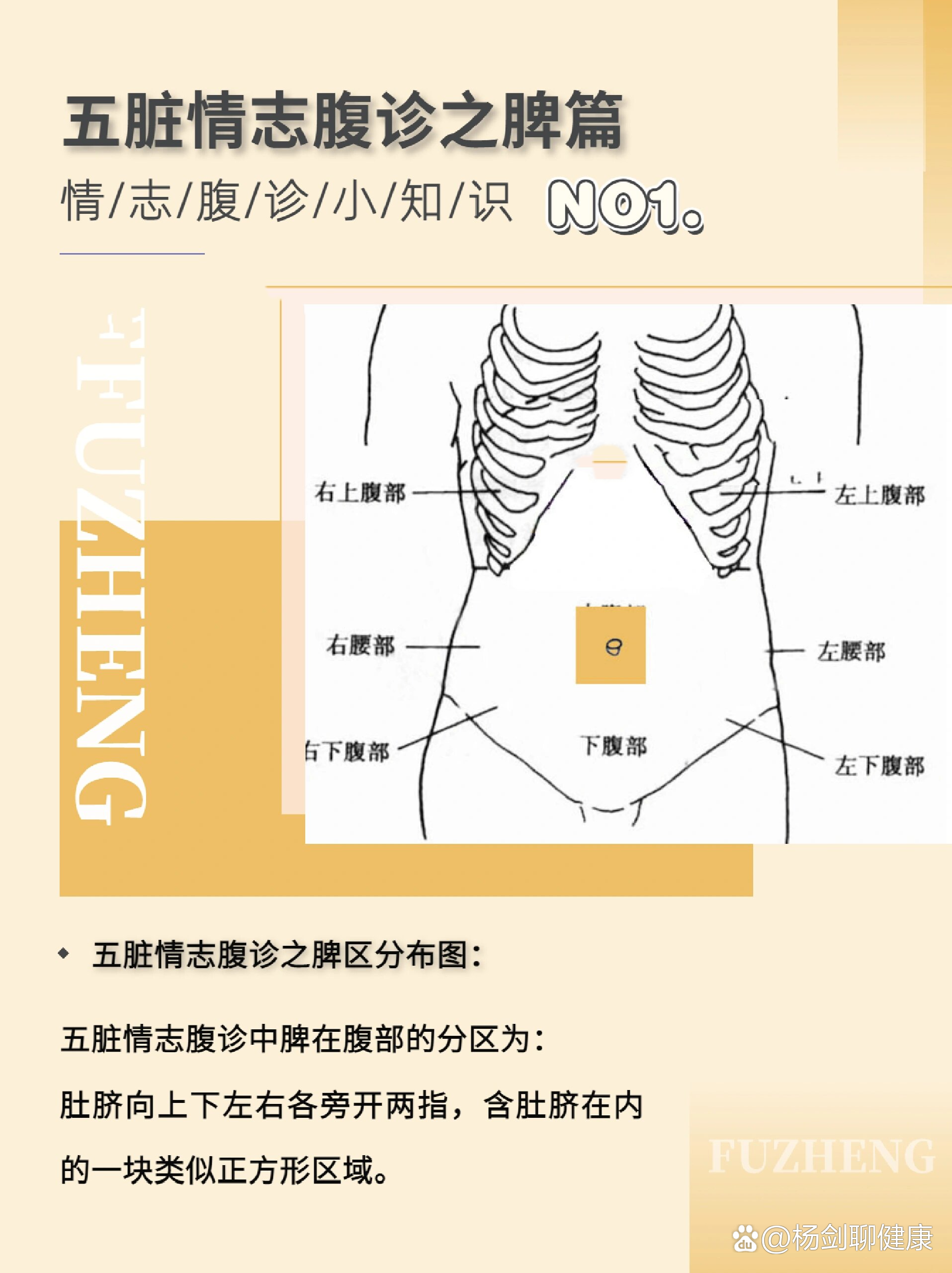 五脏情志腹诊之脾篇①脾区分布图