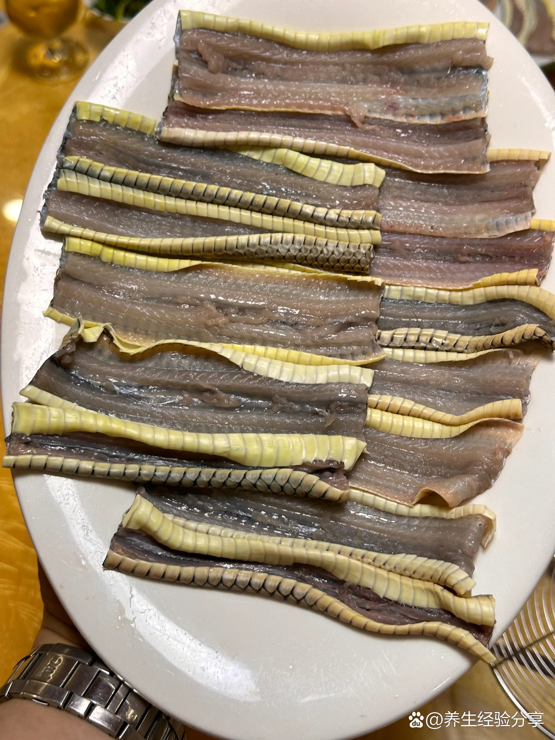 大潮汕|蛇肉能不能吃?