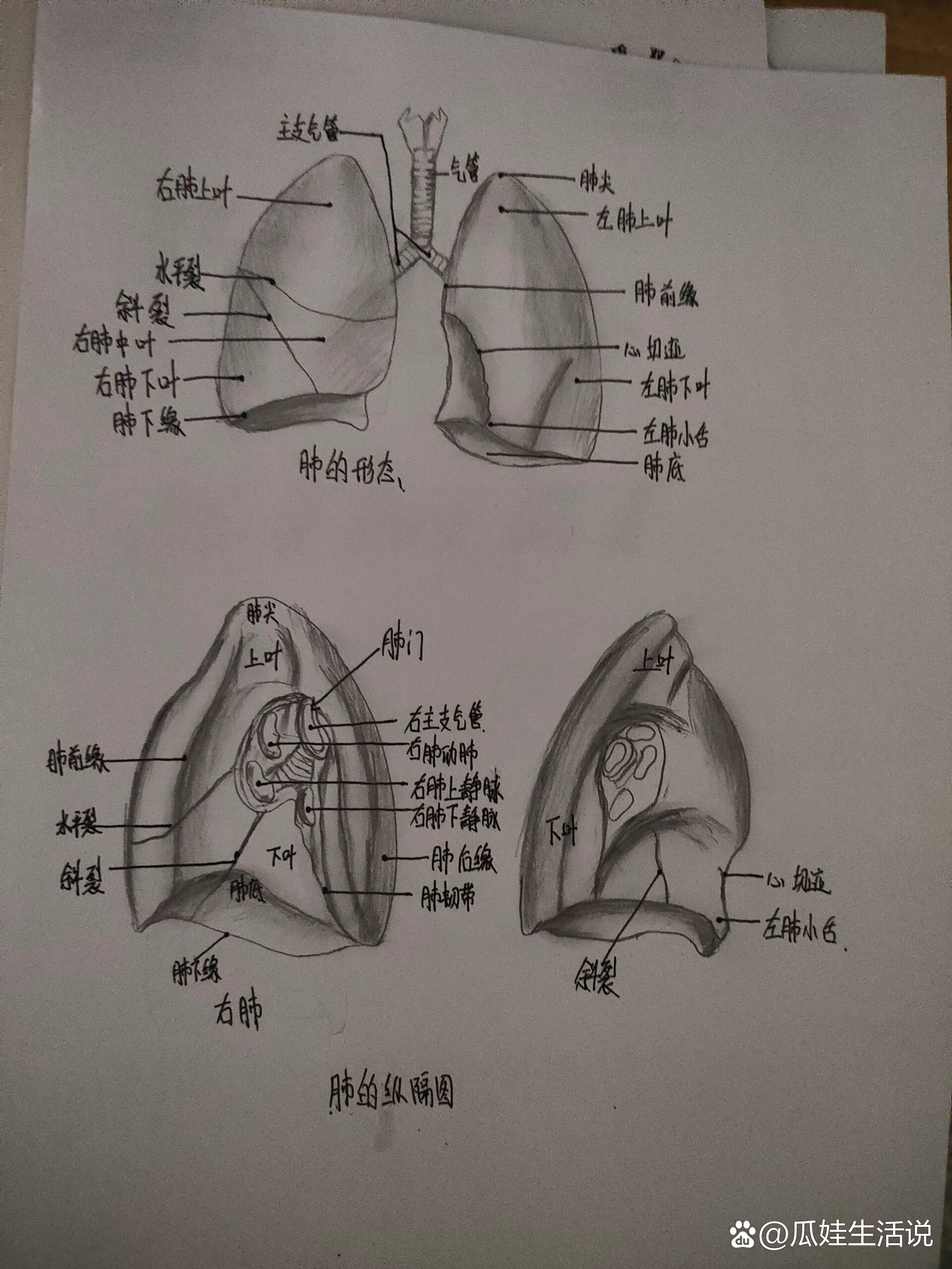 结构图