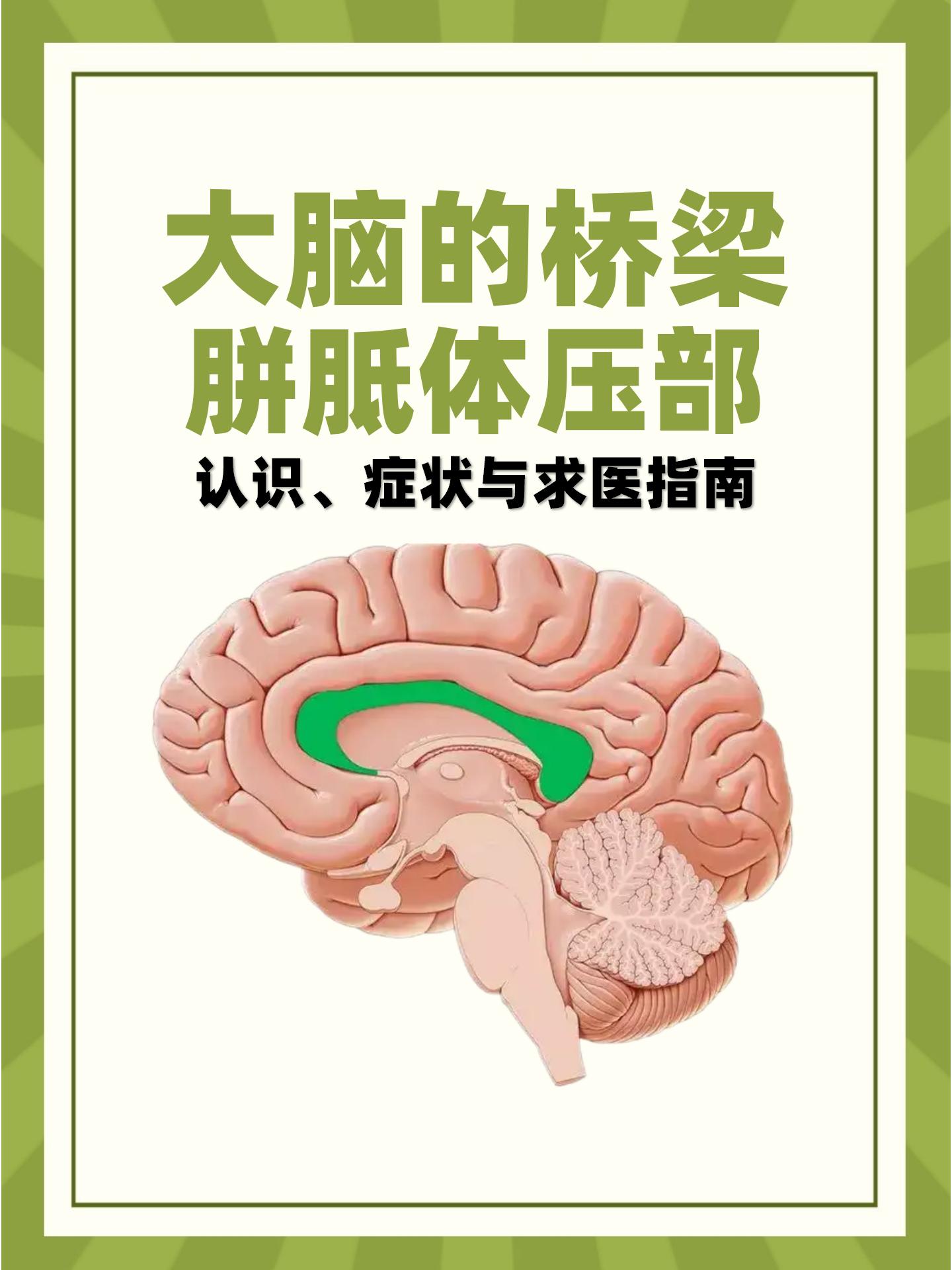 做了核磁共振检查,结果显示胼胝体压部有异常,请问这是怎么回事?