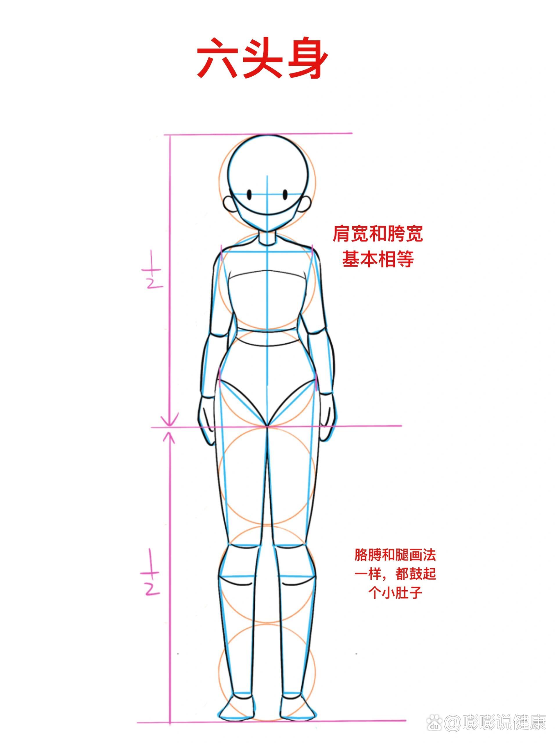 5头身,6头身,7头身动漫比例结构(二)