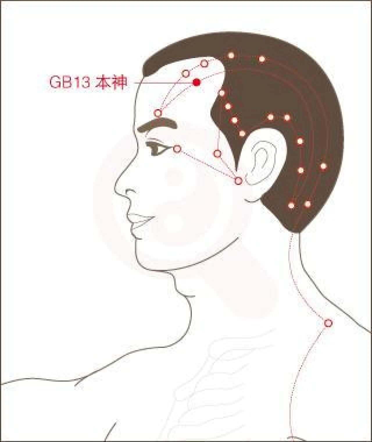 本神的准确位置视频