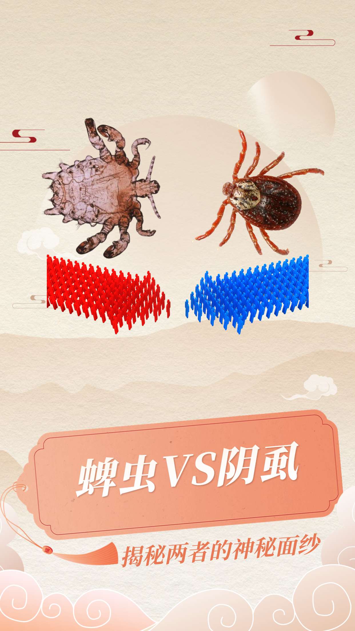 蜱虫vs阴虱:揭秘两者的神秘面纱