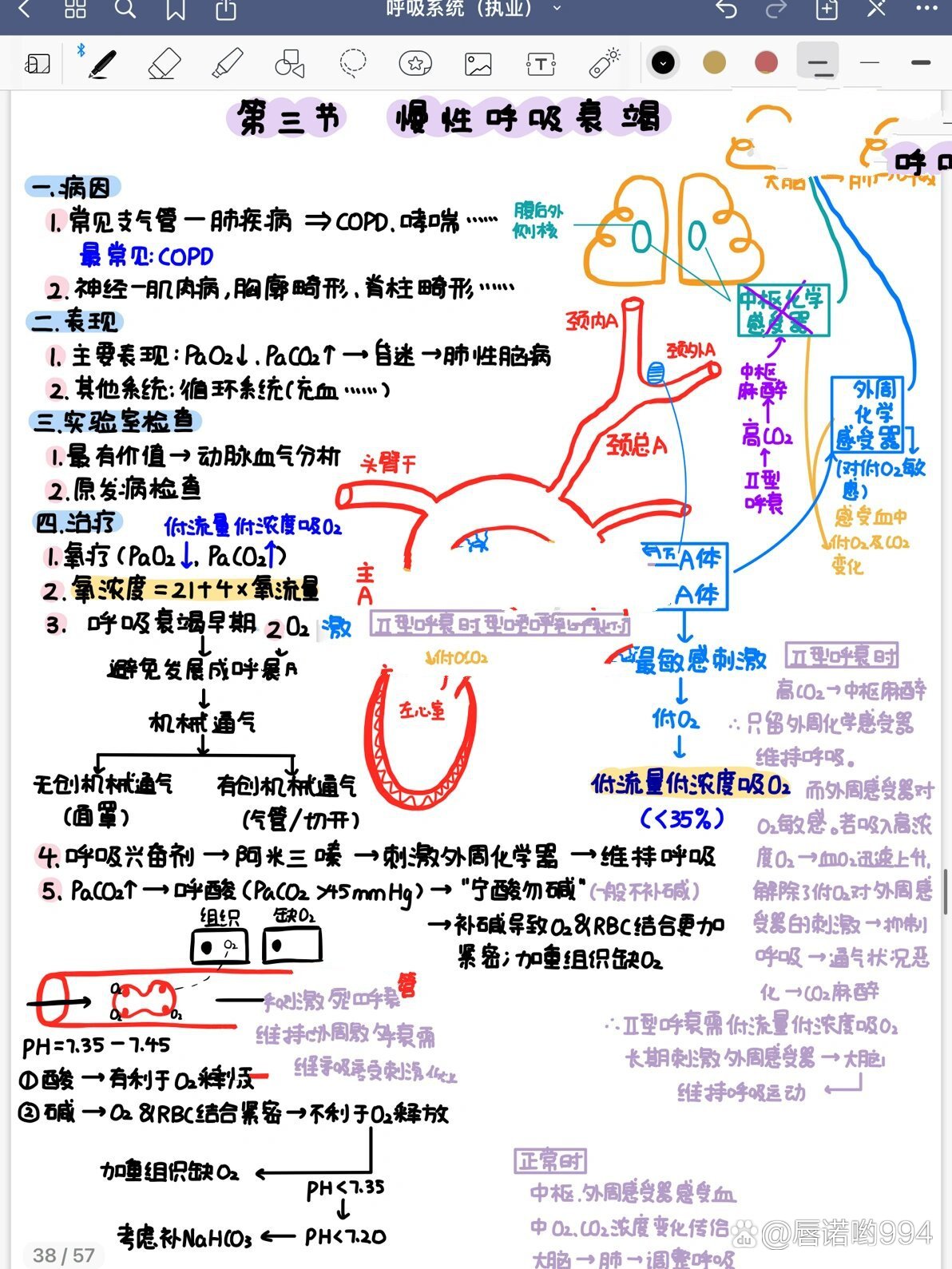 呼吸衰竭名词解释图片