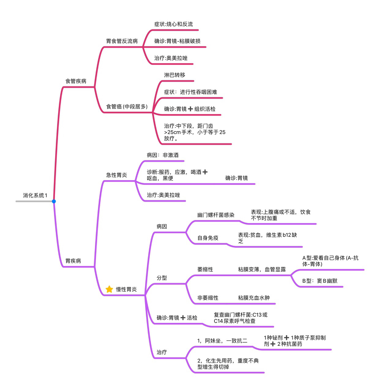 初一消化系统思维导图图片