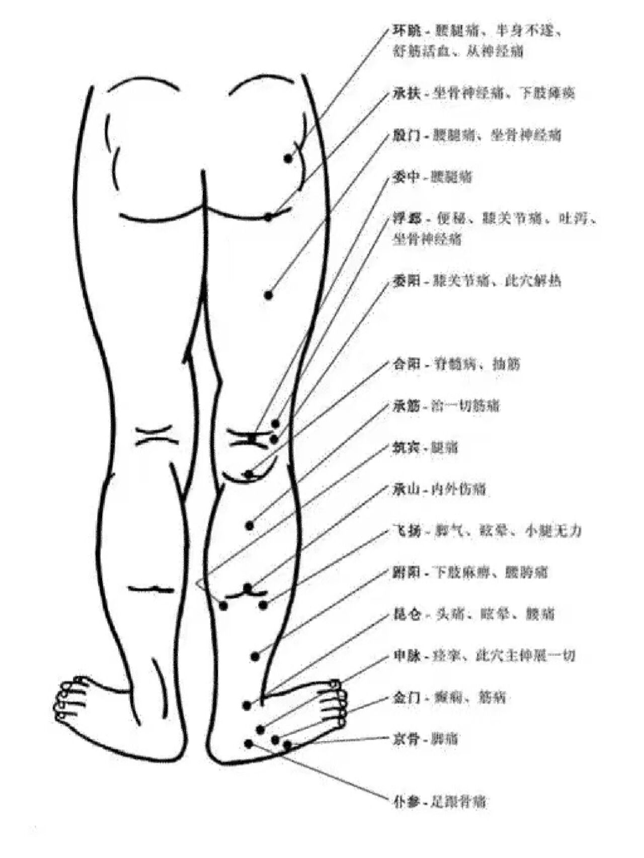 腿上拔罐位置图图片