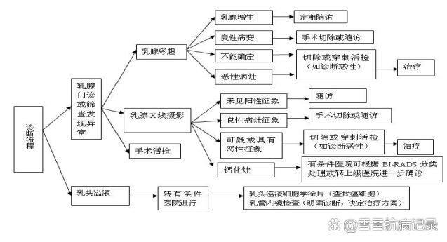 乳腺癌指南|诊断流程,治疗流程简图自取