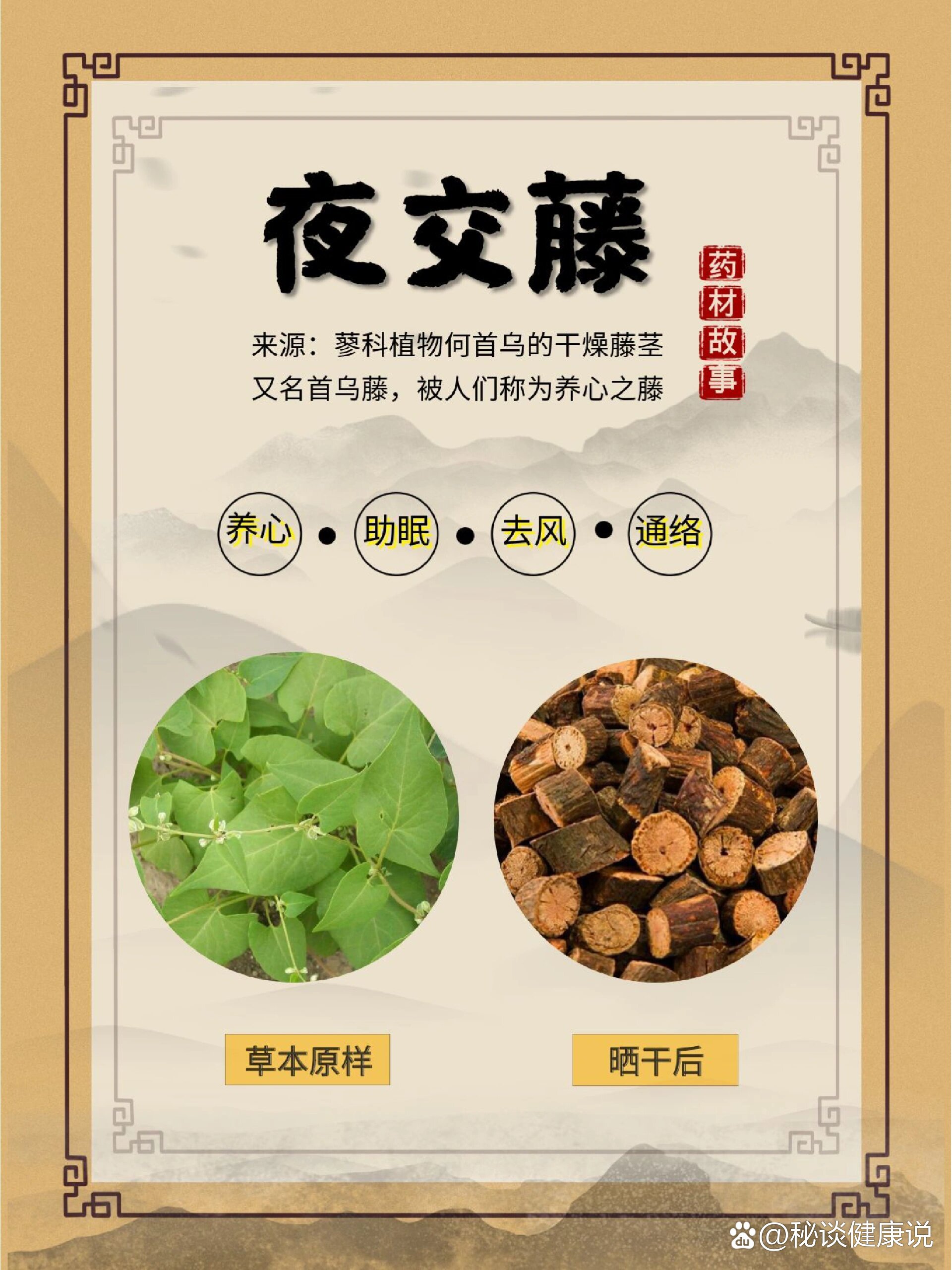 每天认识一味药材《夜交藤》-助眠小帮手