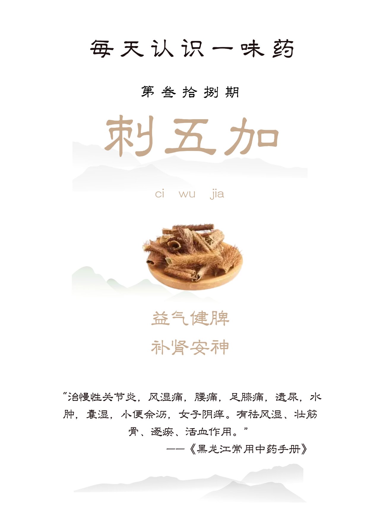 刺五加的蜂蜜功效作用与主治(刺五加籽加蜂蜜泡水喝的禁忌)