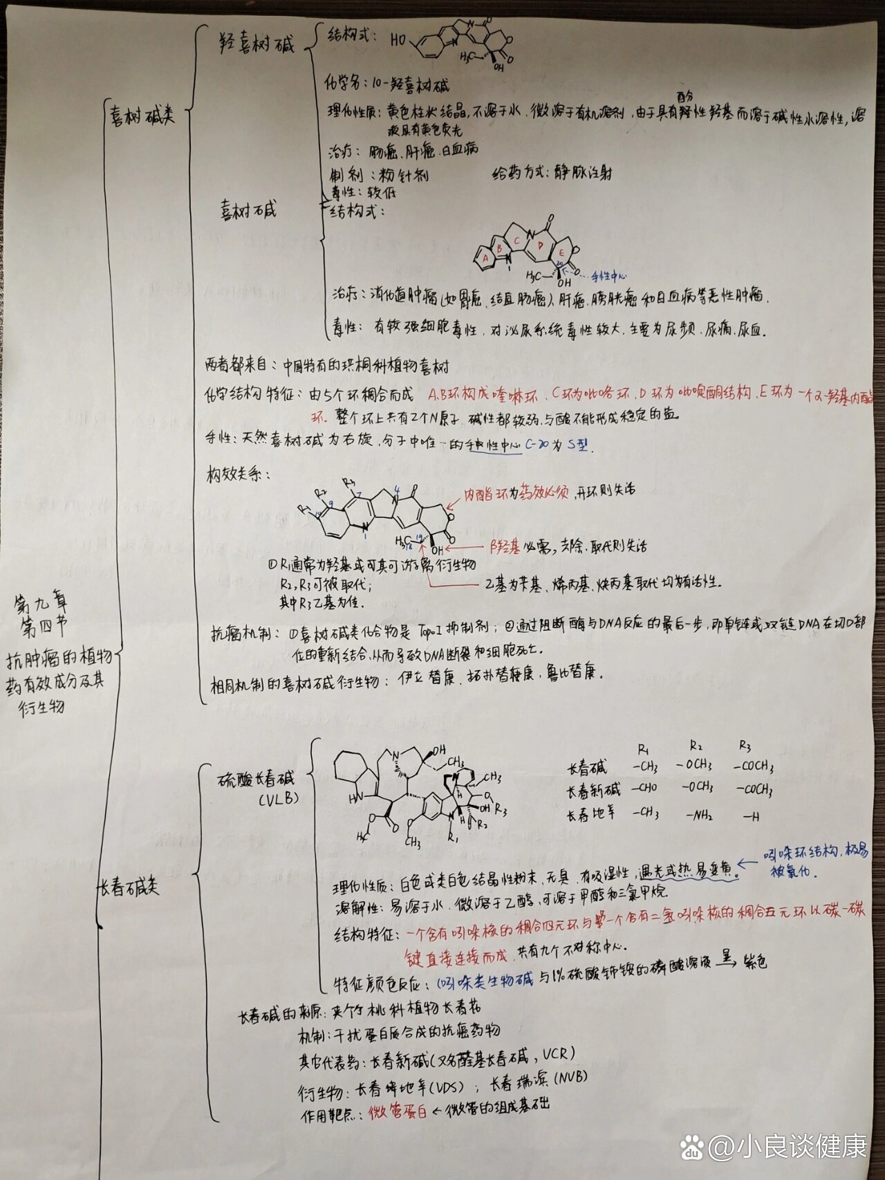 肿瘤的思维导图手写图片