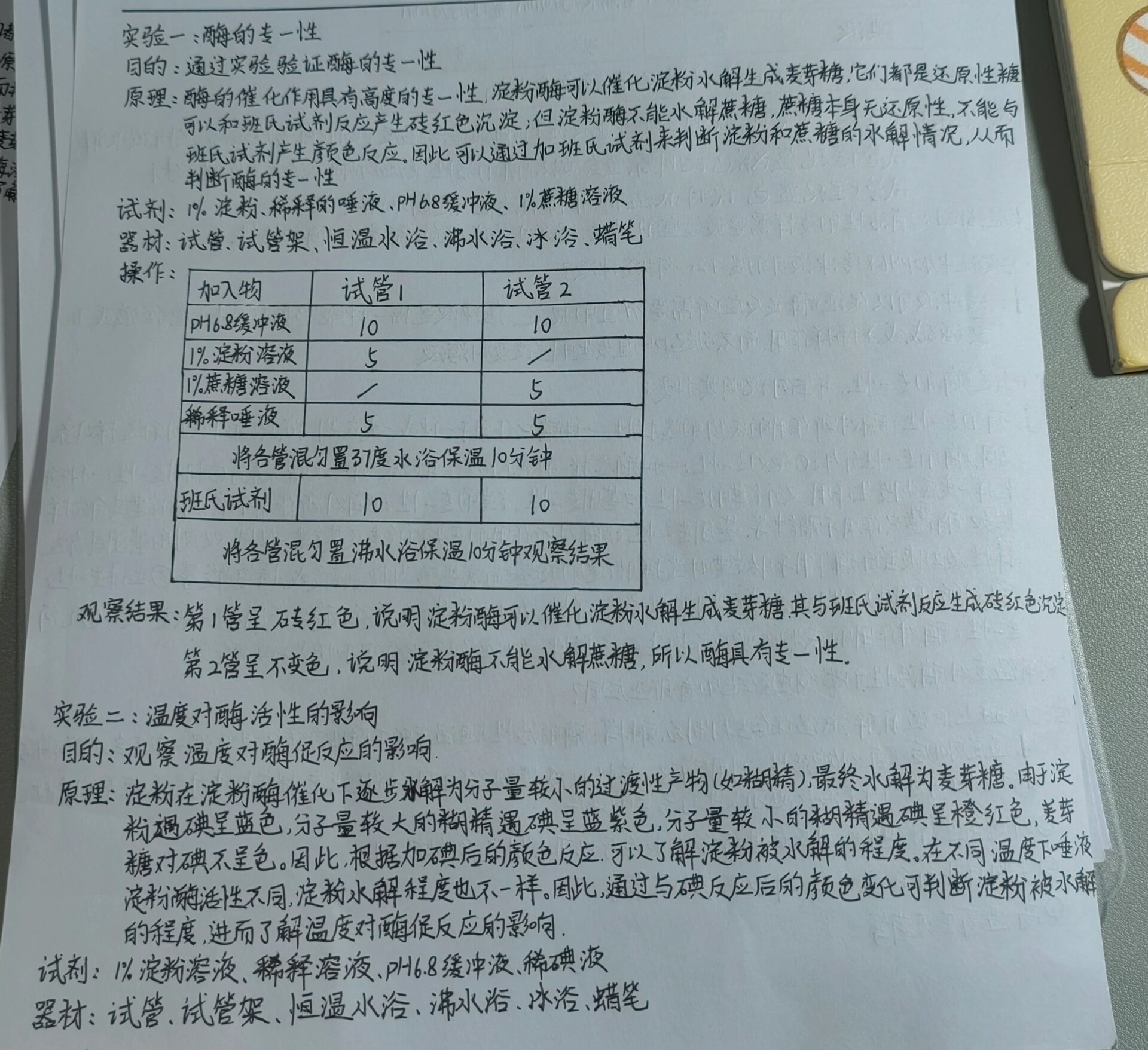 白糖结晶实验报告图片