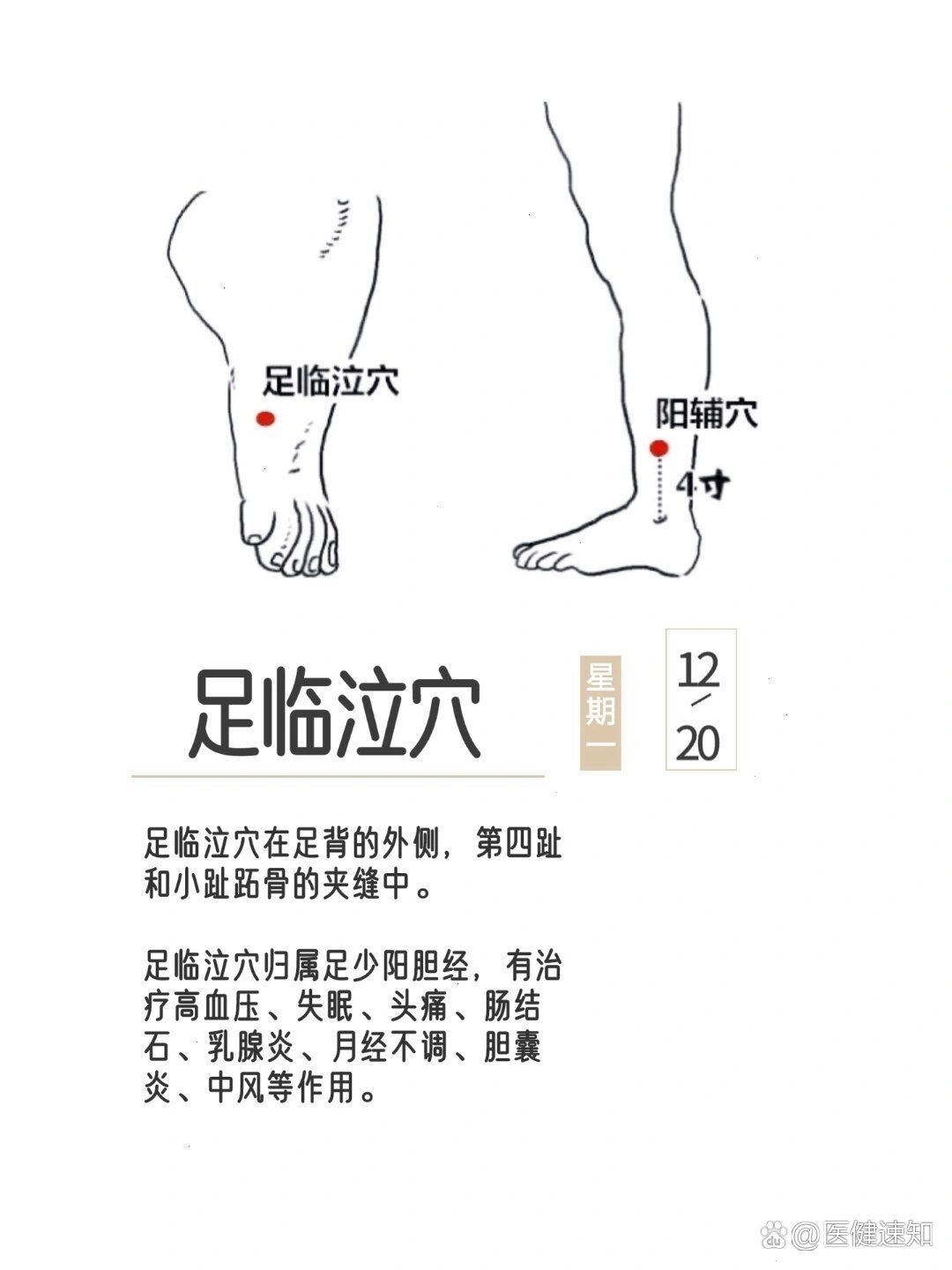 足临泣的位置在哪里图片