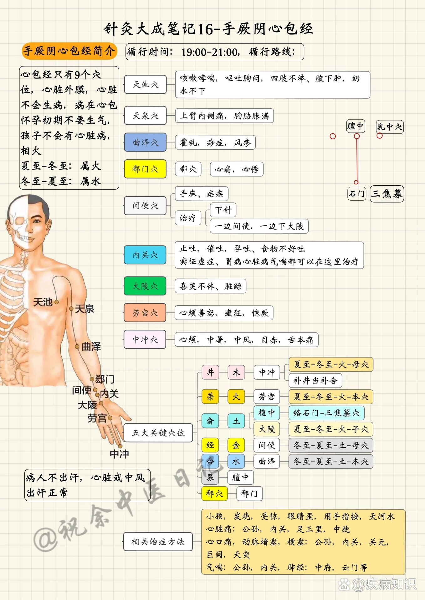 心经走向经络图图片