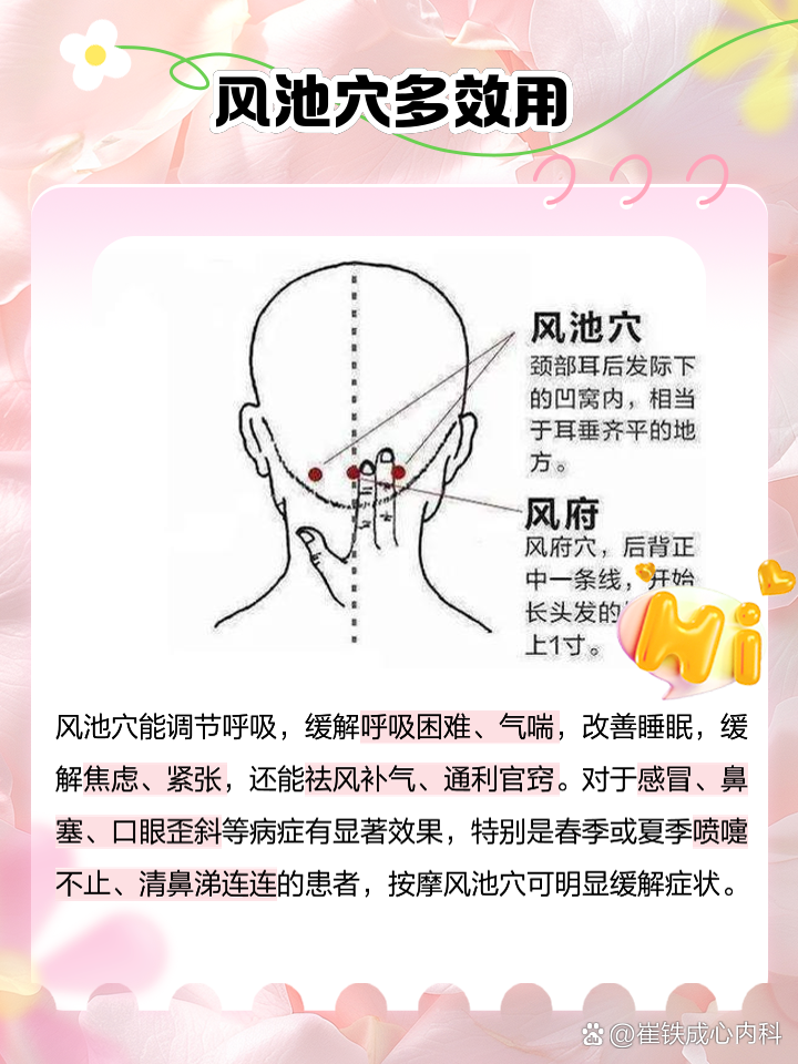 风府风池的准确位置图和作用