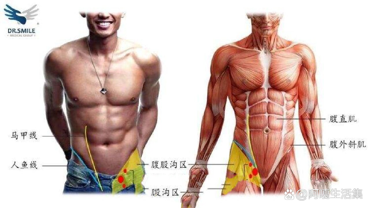 腺疾病】  br>按摩位置:揉腹股沟  br>按摩腹股沟可以促进血液循环  