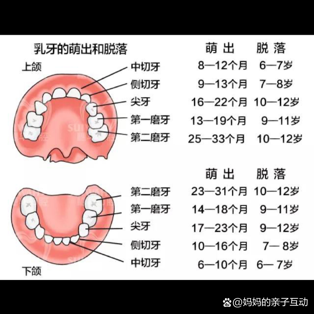 乳牙坏了要不要补?
