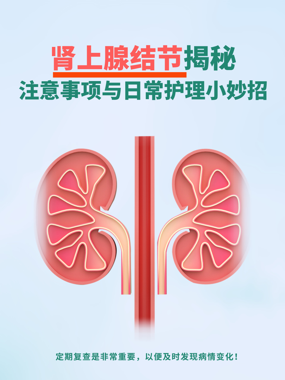 肾上腺结节揭秘:注意事项与日常护理小妙招