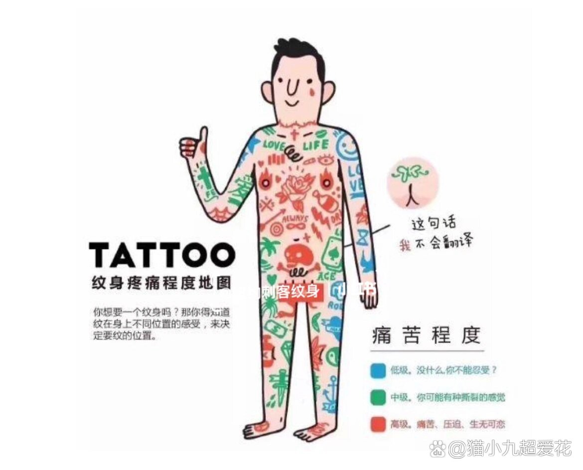 纹身疼痛部位分布图