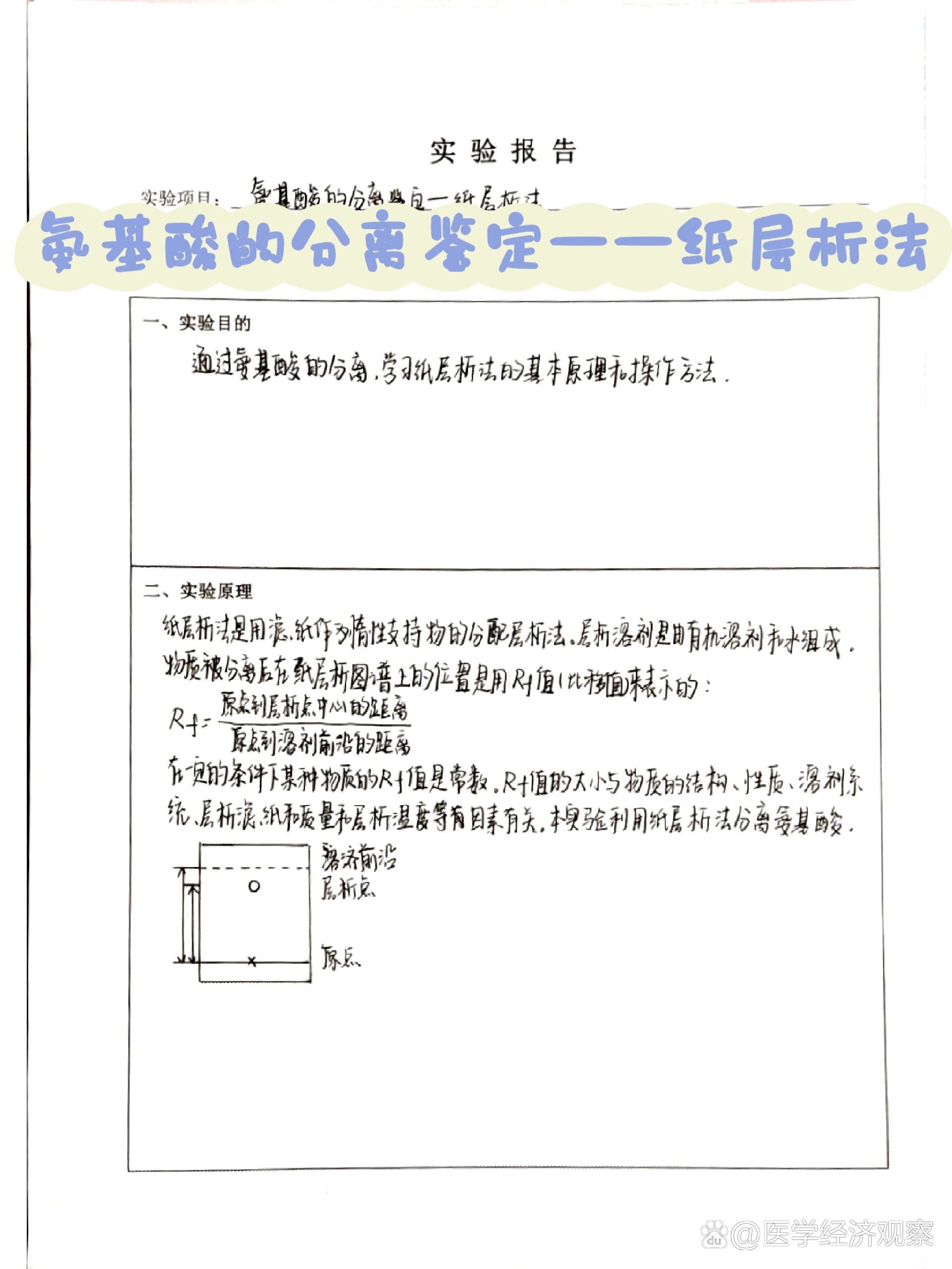 氨基酸的分离鉴定——纸层析法