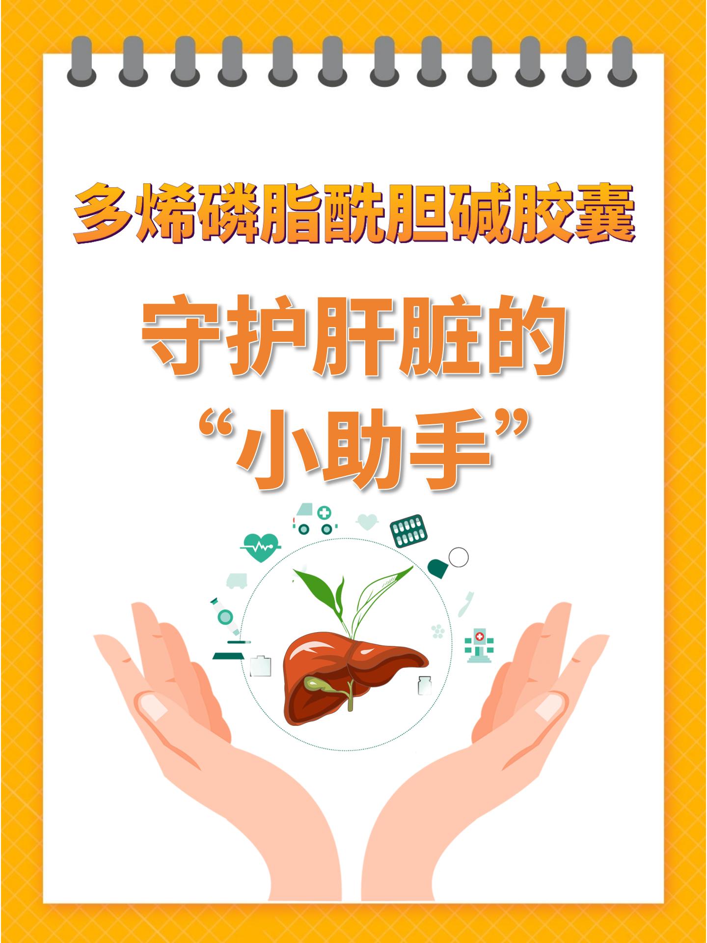 多烯磷脂酰胆碱胶囊:守护肝脏的"小助手"