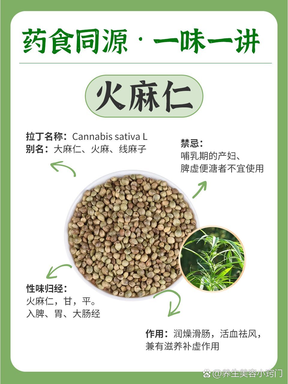 药食同源系列之火麻仁,便秘时的润肠物