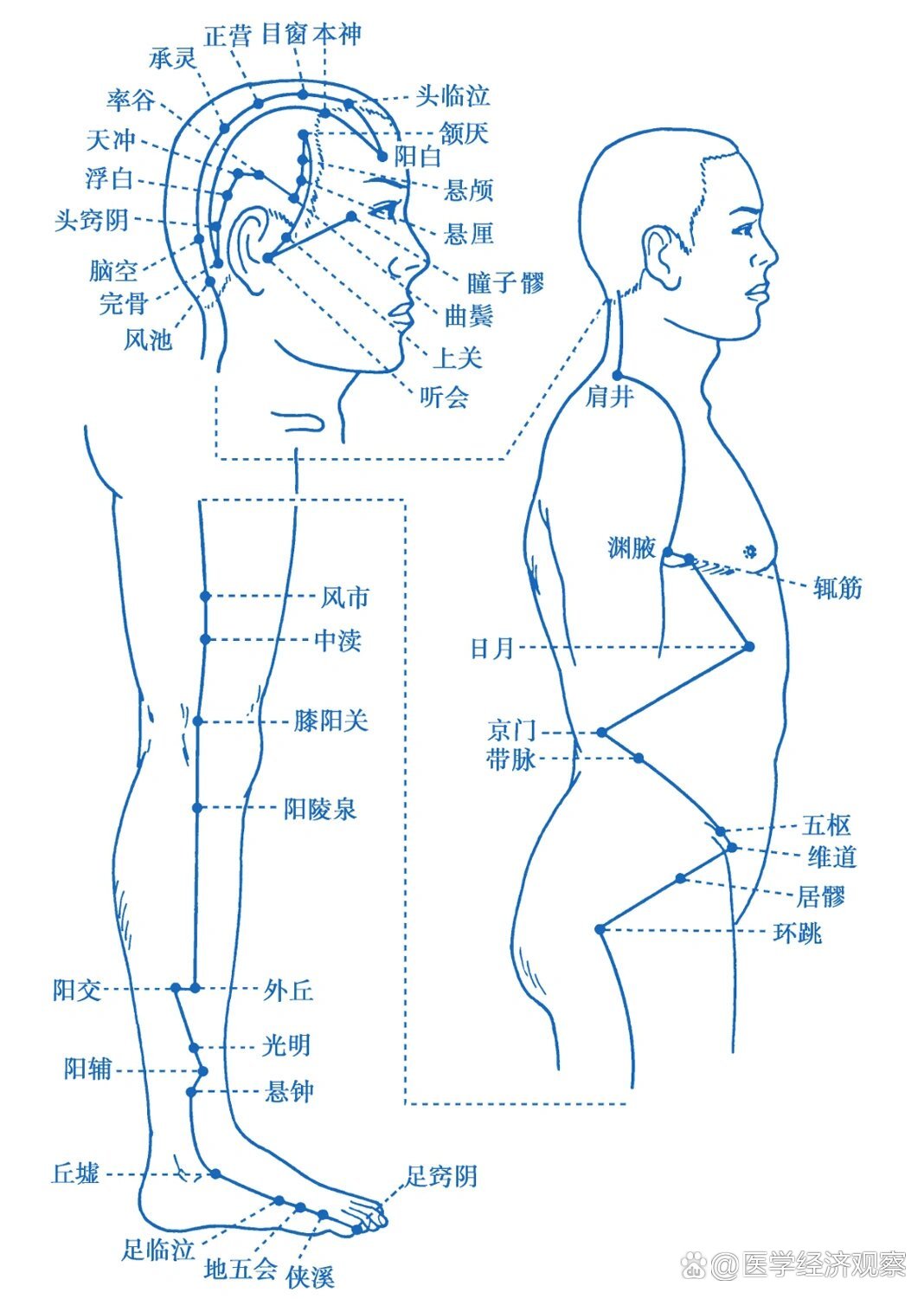 十一 足少阳胆经穴位